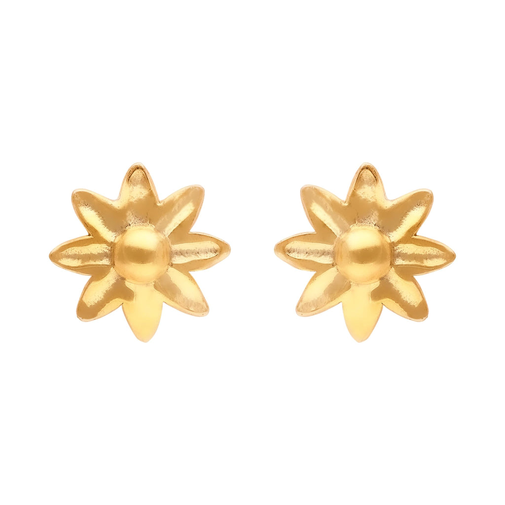 bd035b1cc5ed33a7bdbd7d5a5811bc6e