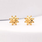 40a93026c9c0848f920479ac9c131197