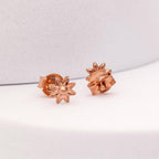 72d9c0b1097104e8190606ff9ce6809b