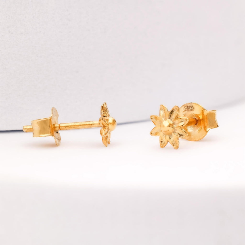 9f37b21384c5278716900501c5e6d79f