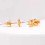 9f37b21384c5278716900501c5e6d79f