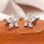 a739553365c4b34fef91c185fb5f8bd1