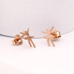 1b5a0331122493325ffc51d281c894f0