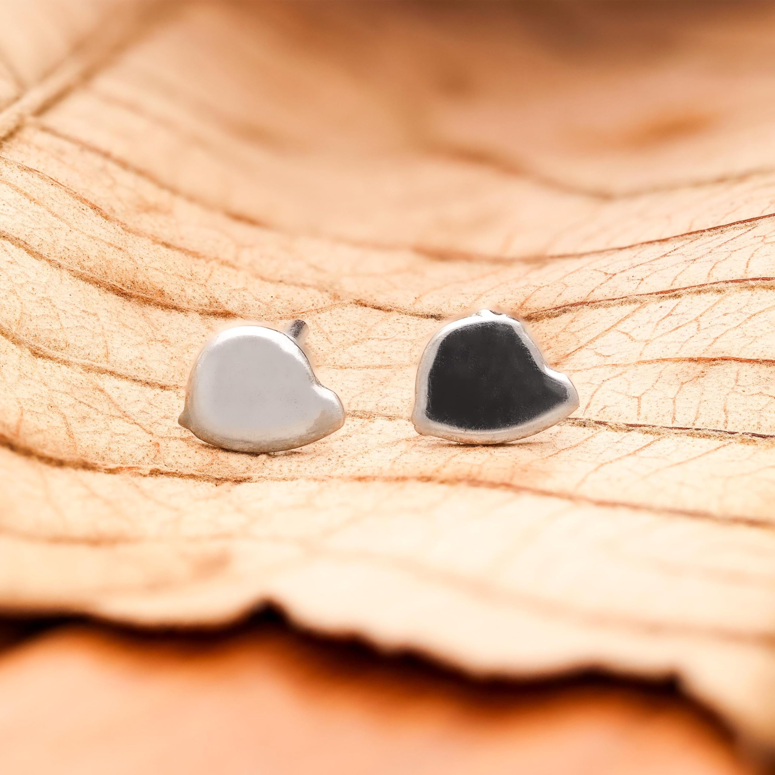 f1ac2a745b640da147264a5e56004151