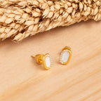 fac12de4888fbaa195bd1ffc6e684dd0