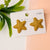 Khaki Star Stud Earring