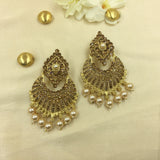 Golden Finish Traditional Brown Stones Classy Earrings