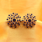 Starburst Sparkle Flower Design Wonderful Stones Earrings